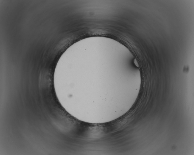 X0000091960362200710041033