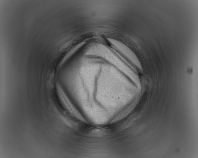 X0000091960364200710041033
