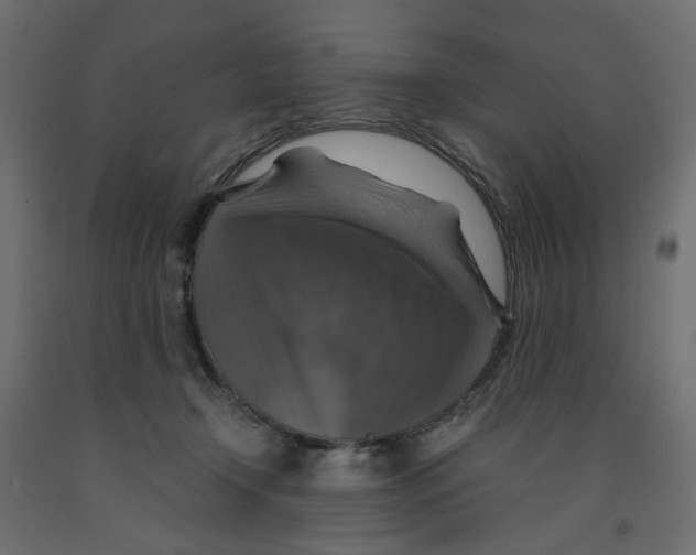 X0000091960366200710041033