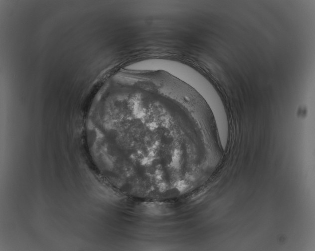 X0000091960367200710041033