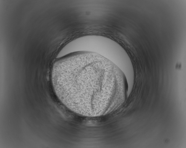 X0000091960368200710041033