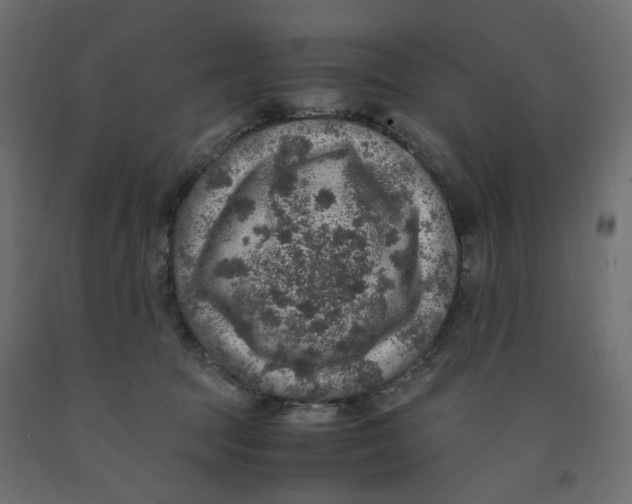 X0000091960369200710041033