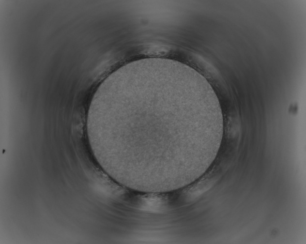 X0000091960370200710041033