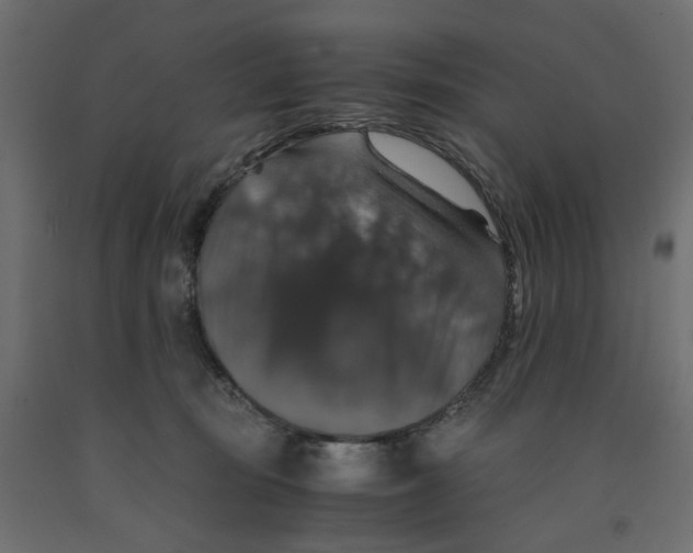 X0000091960371200710041033