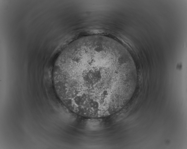 X0000091960373200710041033