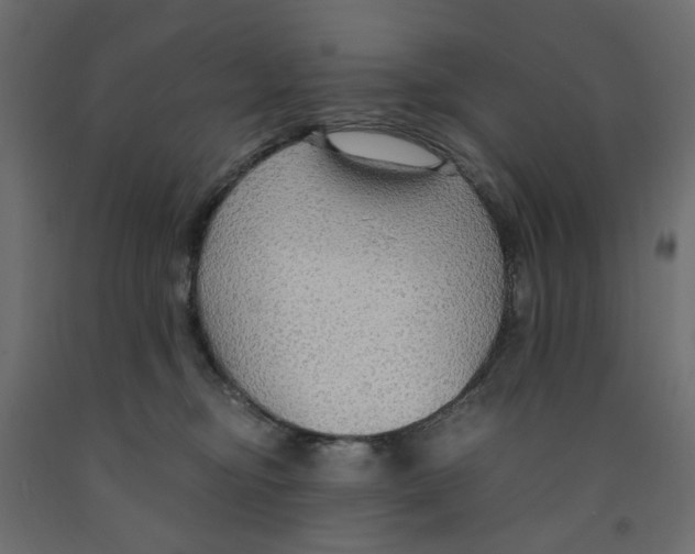 X0000091960374200710041033