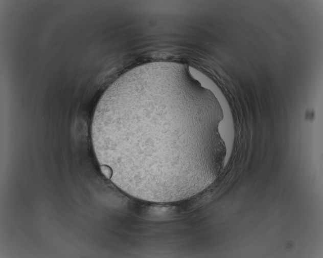 X0000091960375200710041033