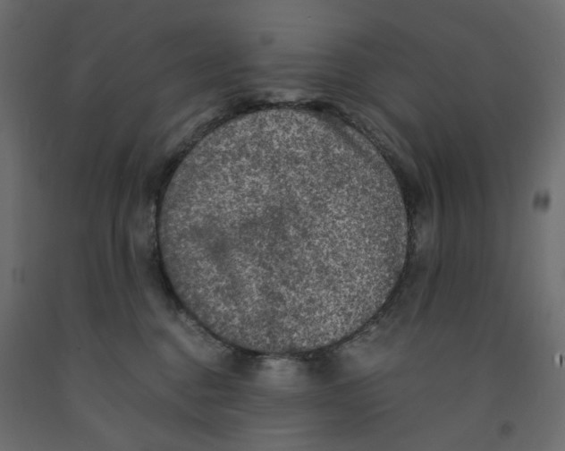 X0000091960376200710041033