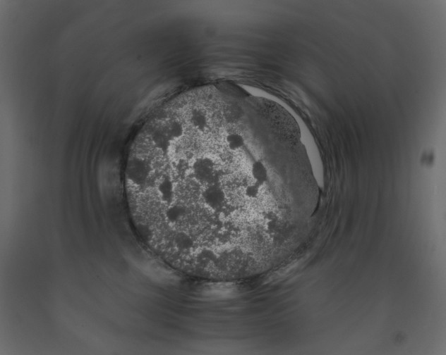 X0000091960377200710041033