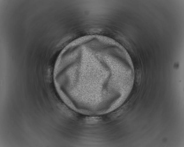X0000091960378200710041033