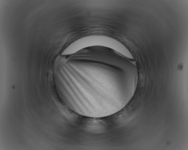X0000091960379200710041033