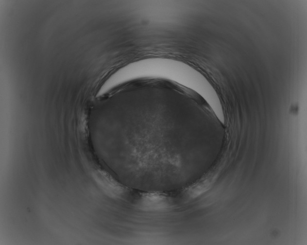 X0000091960380200710041033