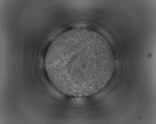 X0000091960381200710041033
