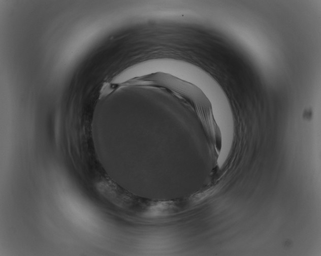X0000091960382200710041033