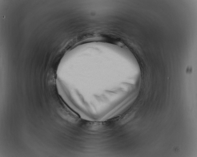 X0000091960384200710041033