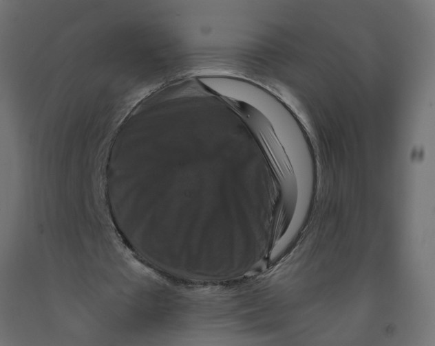 X0000091960385200710041032