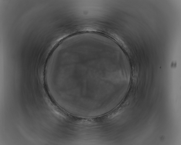 X0000091960386200710041032
