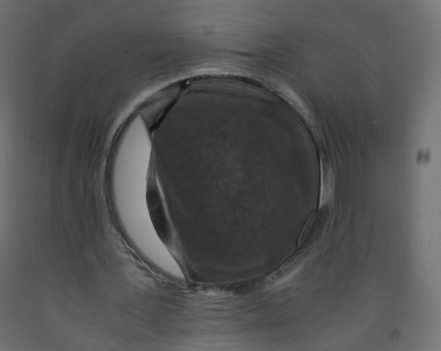 X0000091960387200710041032