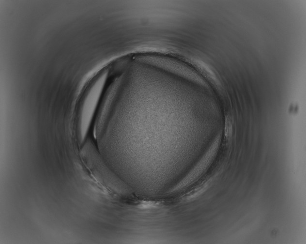 X0000091960388200710041032