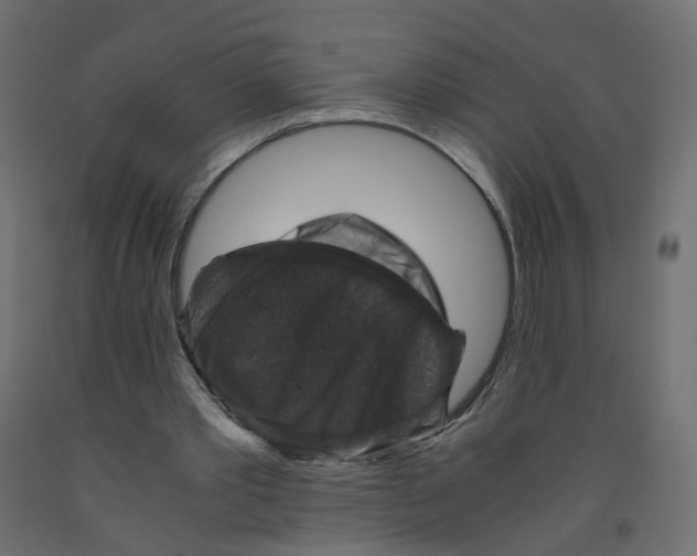X0000091960389200710041032