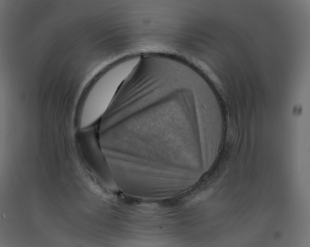 X0000091960391200710041032