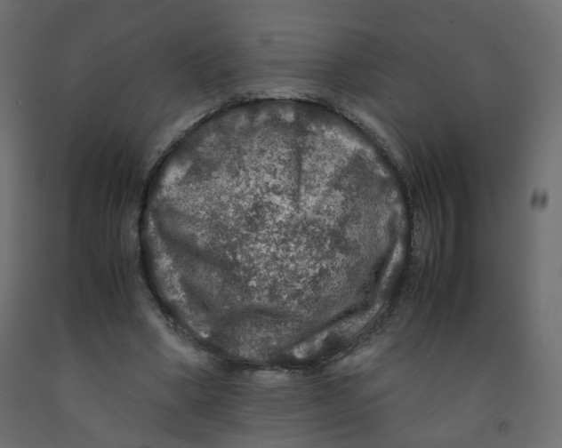 X0000091960394200710041032