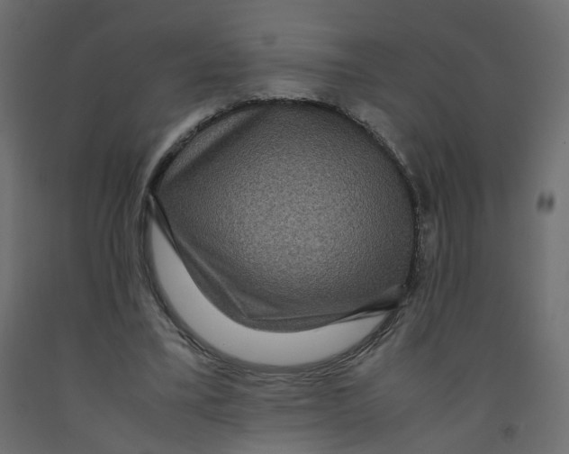 X0000091960395200710041032