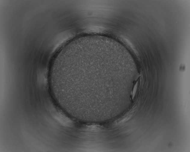 X0000091960396200710041032