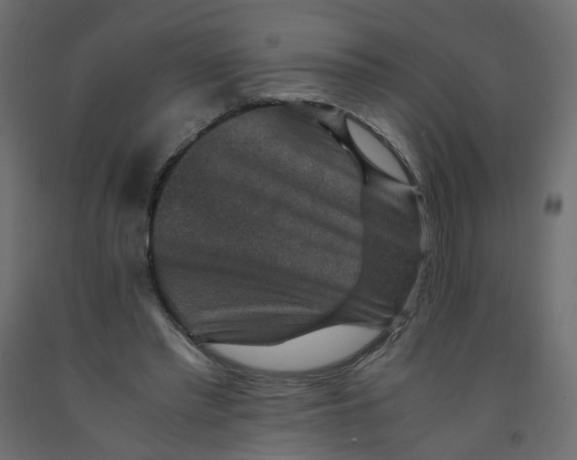 X0000091960397200710041032