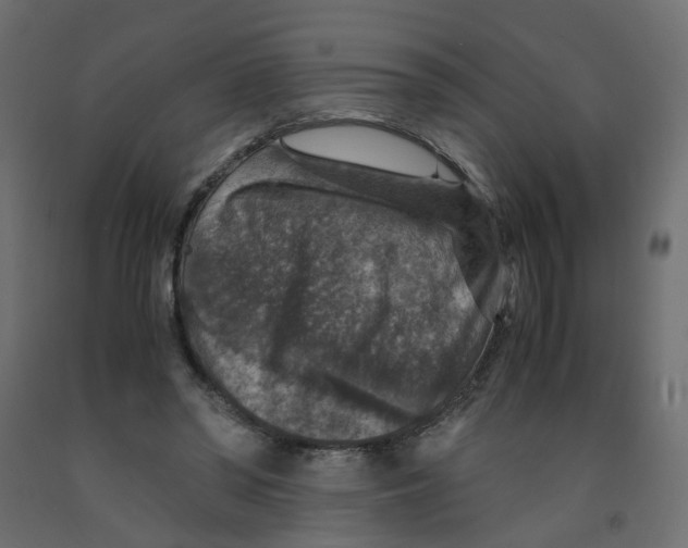 X0000091960398200710041032
