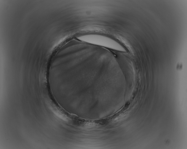 X0000091960399200710041032