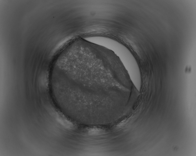 X0000091960400200710041032