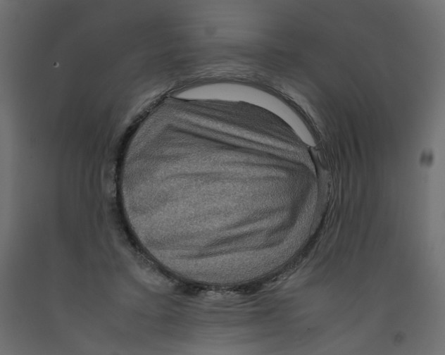 X0000091960403200710041032