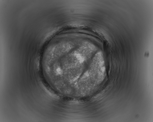 X0000091960404200710041032