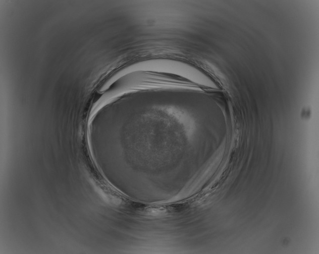 X0000091960405200710041032