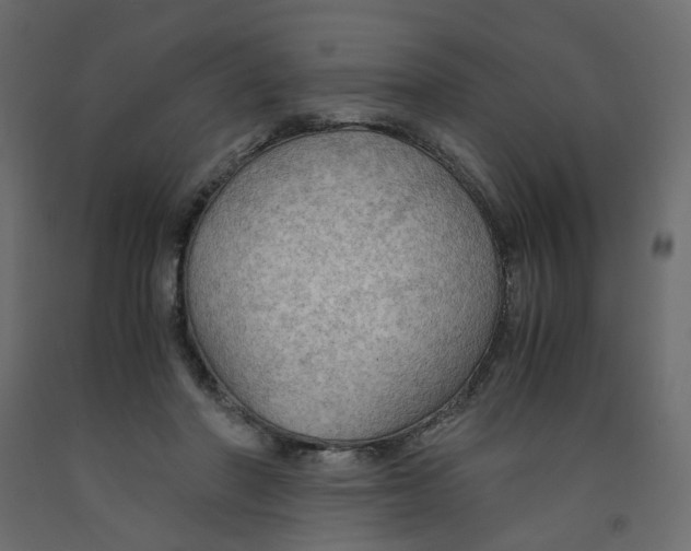 X0000091960406200710041032