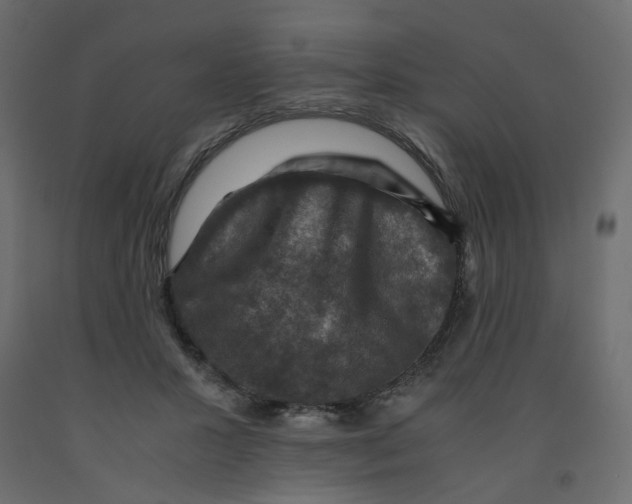 X0000091960407200710041032