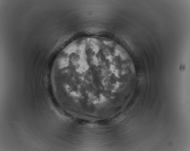 X0000091960408200710041032