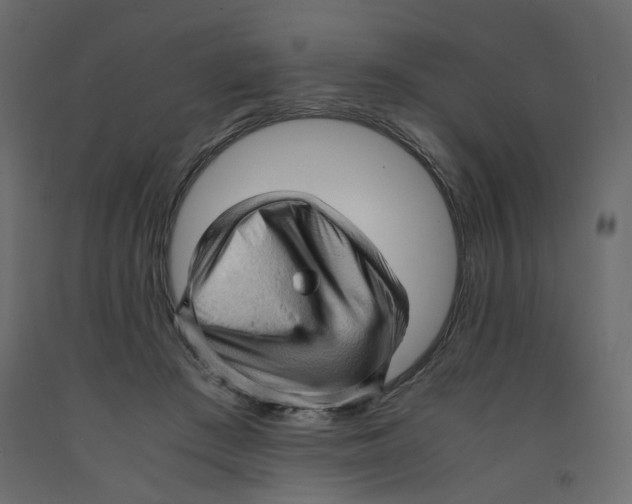X0000091960409200710041032