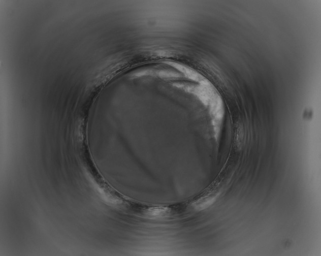 X0000091960410200710041032