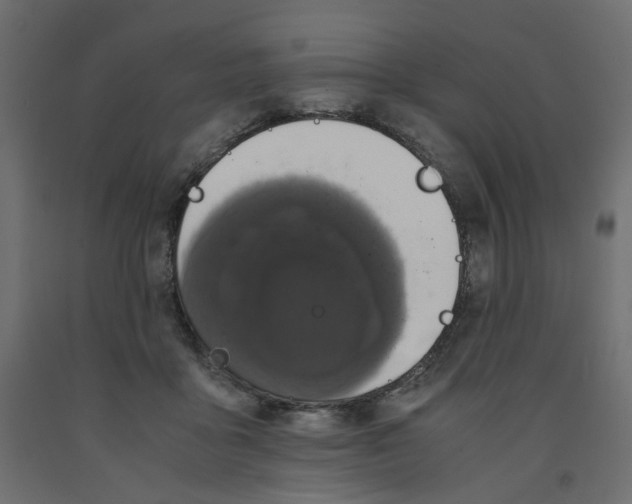 X0000091960411200710041032