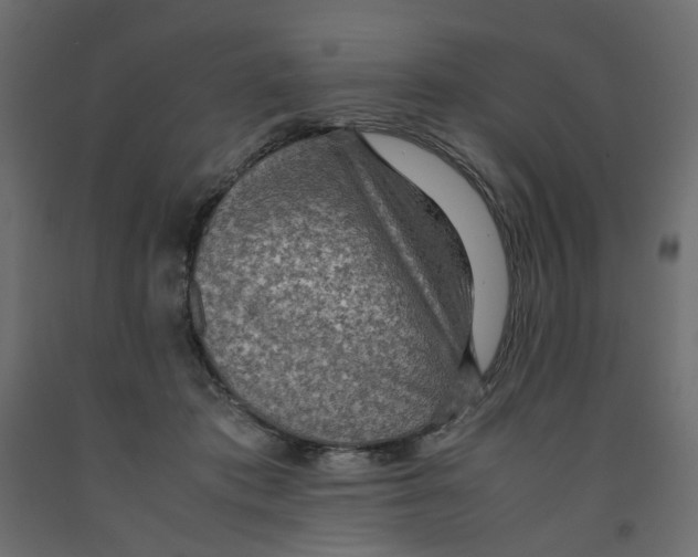 X0000091960413200710041032