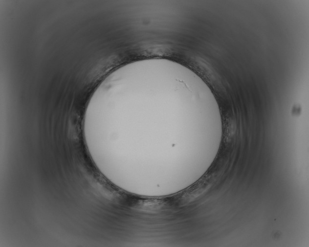 X0000091960414200710041032