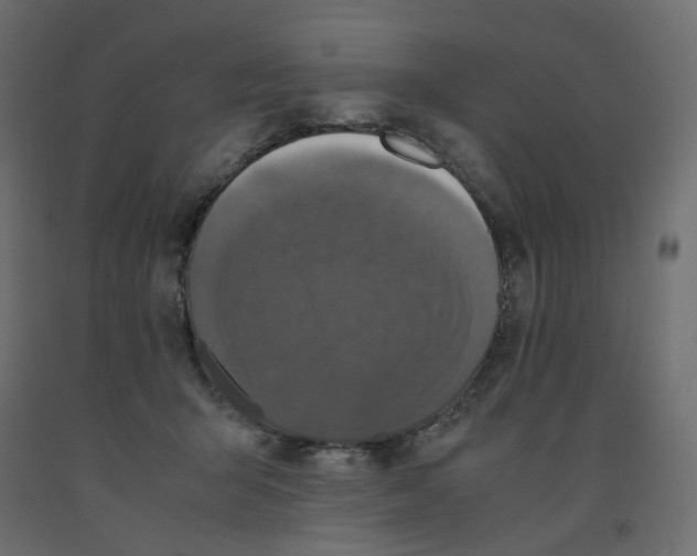 X0000091960415200710041032