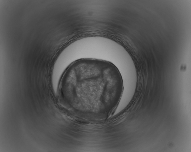 X0000091960416200710041032