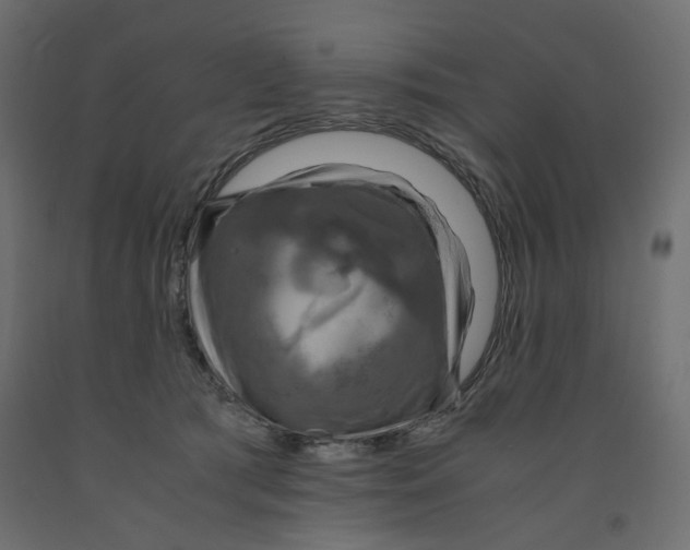 X0000091960417200710041032