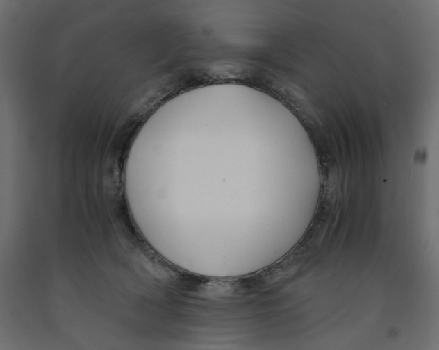 X0000091960418200710041032