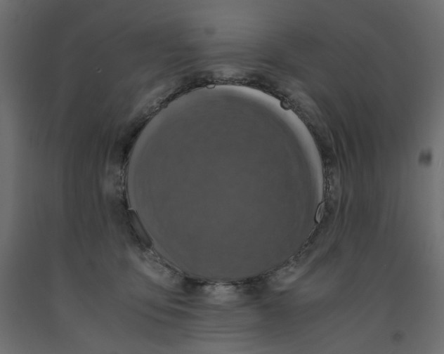X0000091960419200710041032