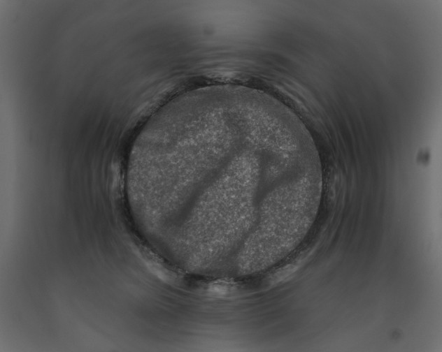 X0000091960420200710041032