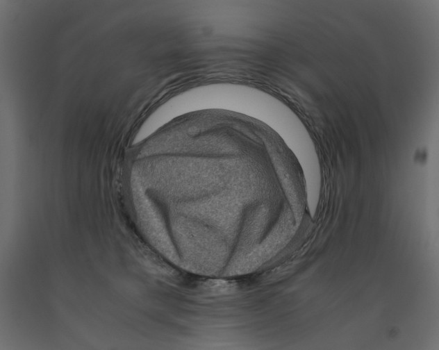 X0000091960421200710041032